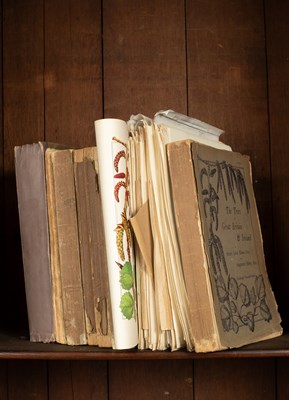 Lot 297 - Elwes (Henry John) The Trees of Great Britain & Ireland