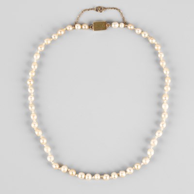 Lot 214 - A single row natural pearl necklace