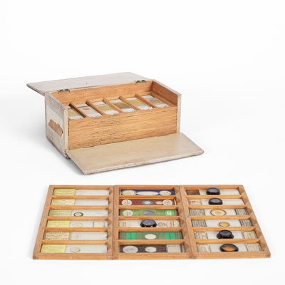 Lot 434 - A collection of 19th Century microscope specimen slides