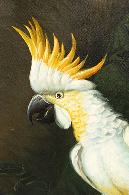 Lot 243 - After Jacob Bogdani (1660-1724)