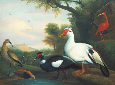 Lot 244 - After Jacob Bogdani (1660-1724)