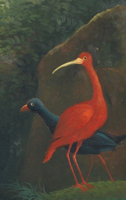 Lot 244 - After Jacob Bogdani (1660-1724)