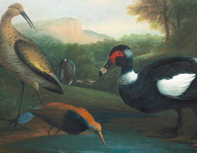 Lot 244 - After Jacob Bogdani (1660-1724)