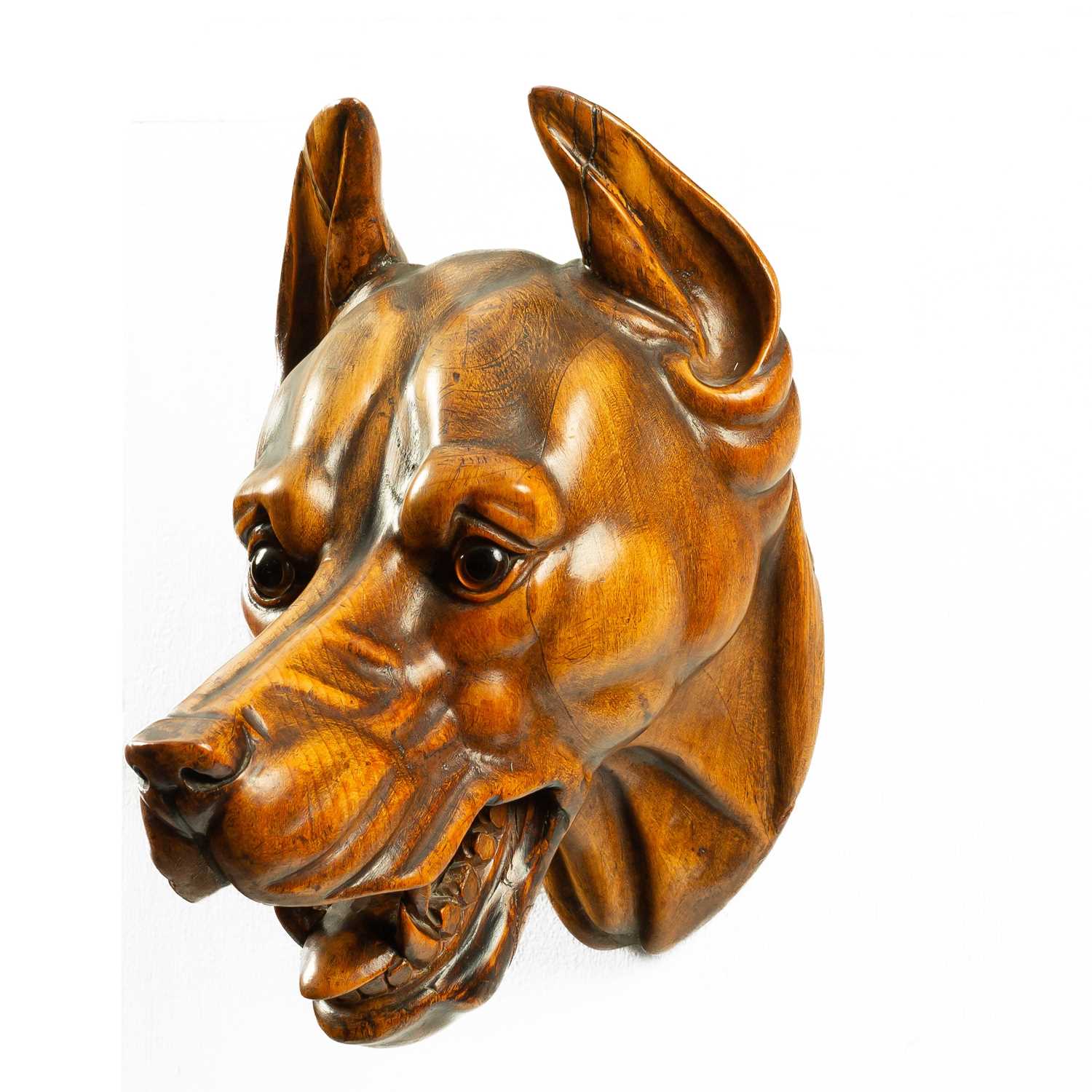 Lot 335 - A carved wooden head of a fierce Great Dane