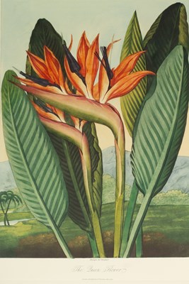 Lot 474 - Folio Society: Thornton (Robert John) The Temple of Flora