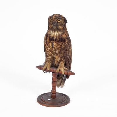 Lot 136 - A late Victorian taxidermy great horned owl