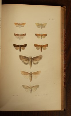 Lot 331 - Morris (The Rev. F. O.) A Natural History of British Moths
