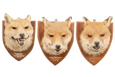 Lot 134 - Three fox masks by AW Ecutt
