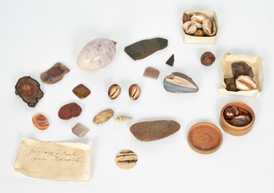 Lot 855 - Various shells