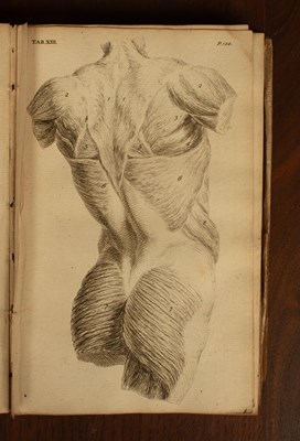 Lot 442 - [Education, Anatomy and Mathematics]