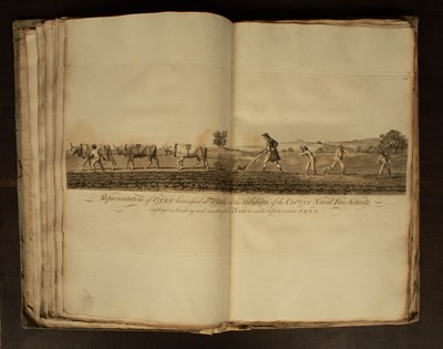Lot 487 - [Law and Government]