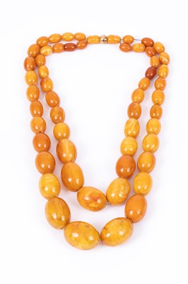 Lot 62 - A two strand butterscotch amber bead necklace