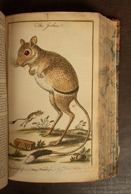 Lot 540 - [18th Century Periodicals]