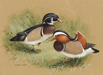 Lot 1015 - Raymond Cyril Watson (1935-1994)