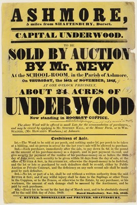 Lot 1063 - [Broadside, Auction]