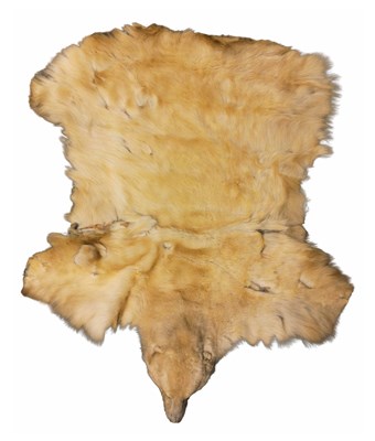 Lot 910 - Taxidermy: A polar bear rug (Ursus Maritimus)