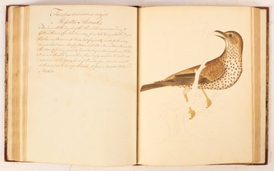 Lot 688 - Justice (Francis) Two Manuscript Volumes of British Birds after Nature